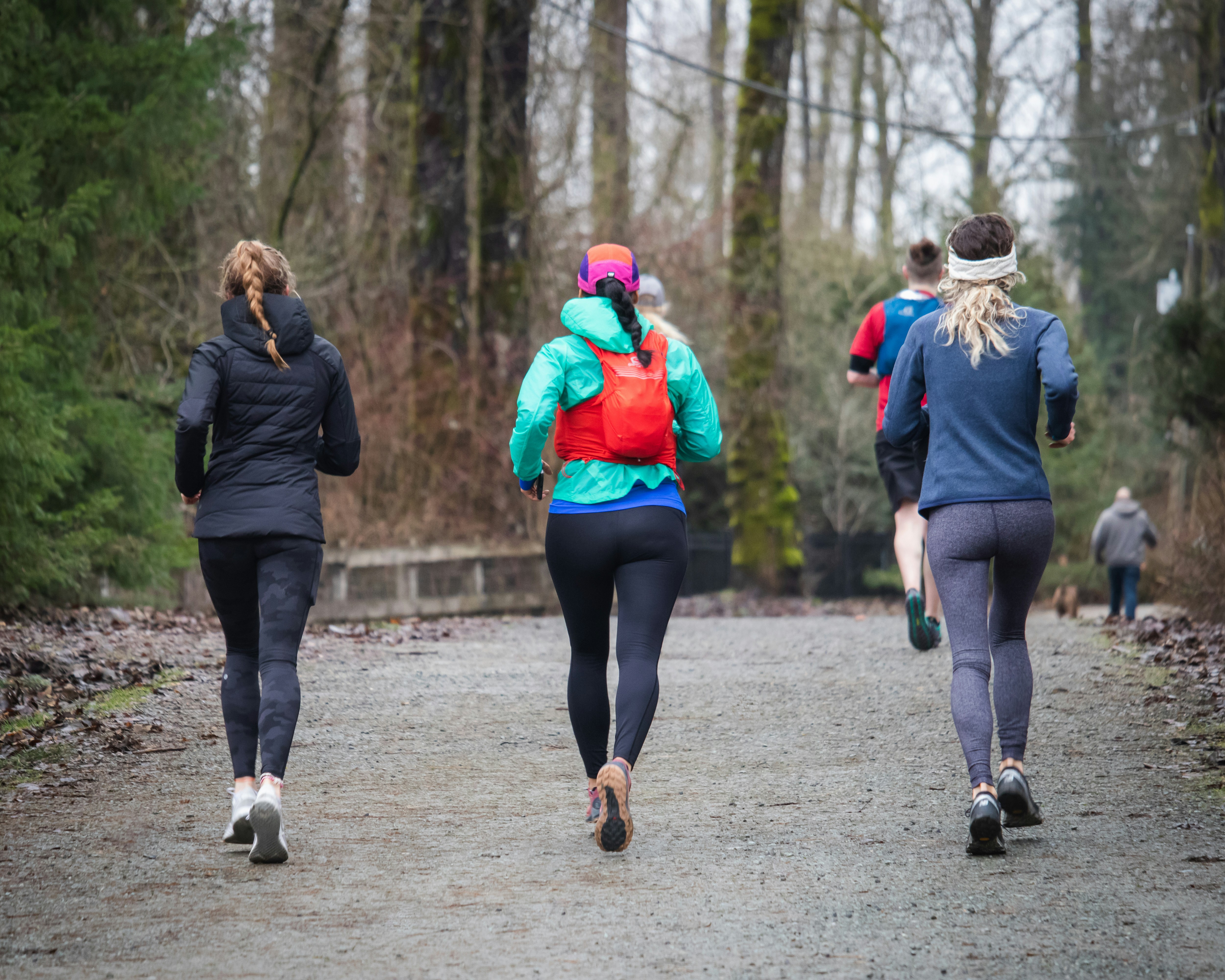 A group of runners on a forest trail